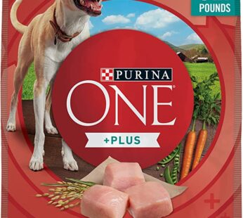 Purina ONE Dog Digestive Support, Natural Dry Dog Food