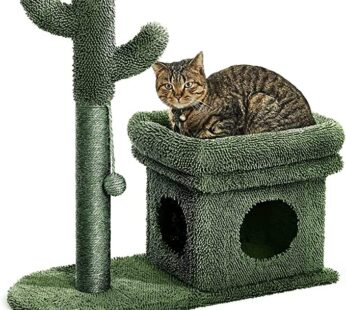 Catinsider 2 in 1 Cat Scratching Post Kitty Condo with Dangling Ball for Small Cats Green